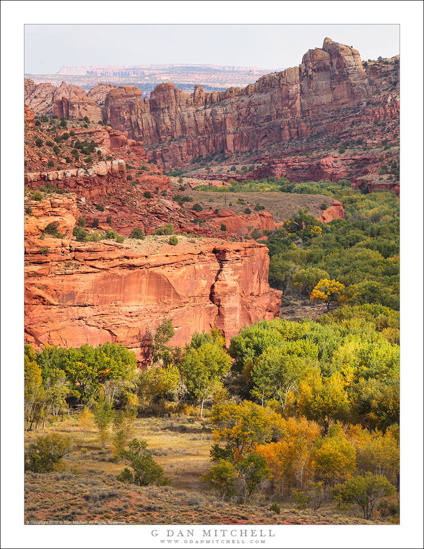 Sunlight, Escalante River Canyon