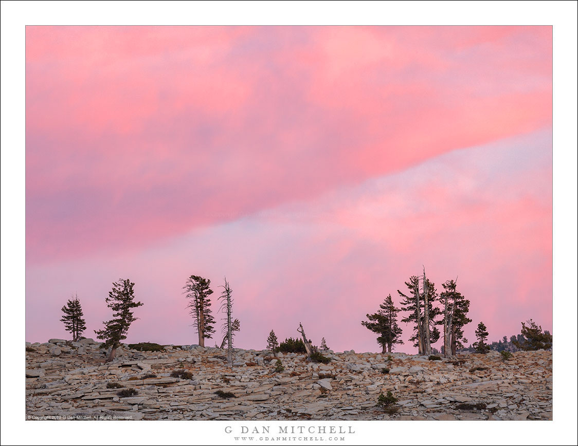 Trees, Ridge, Sunset Clouds