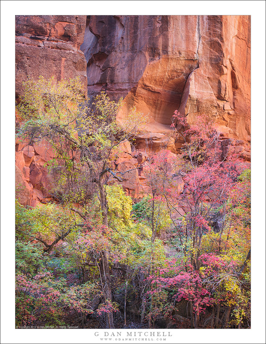 Red Rock And Autumn Color G Dan Mitchell Photography 8687