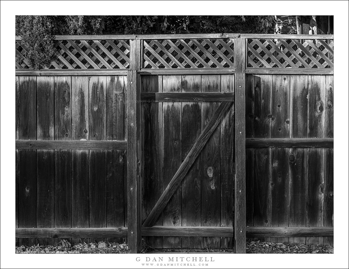 Fence and Gate