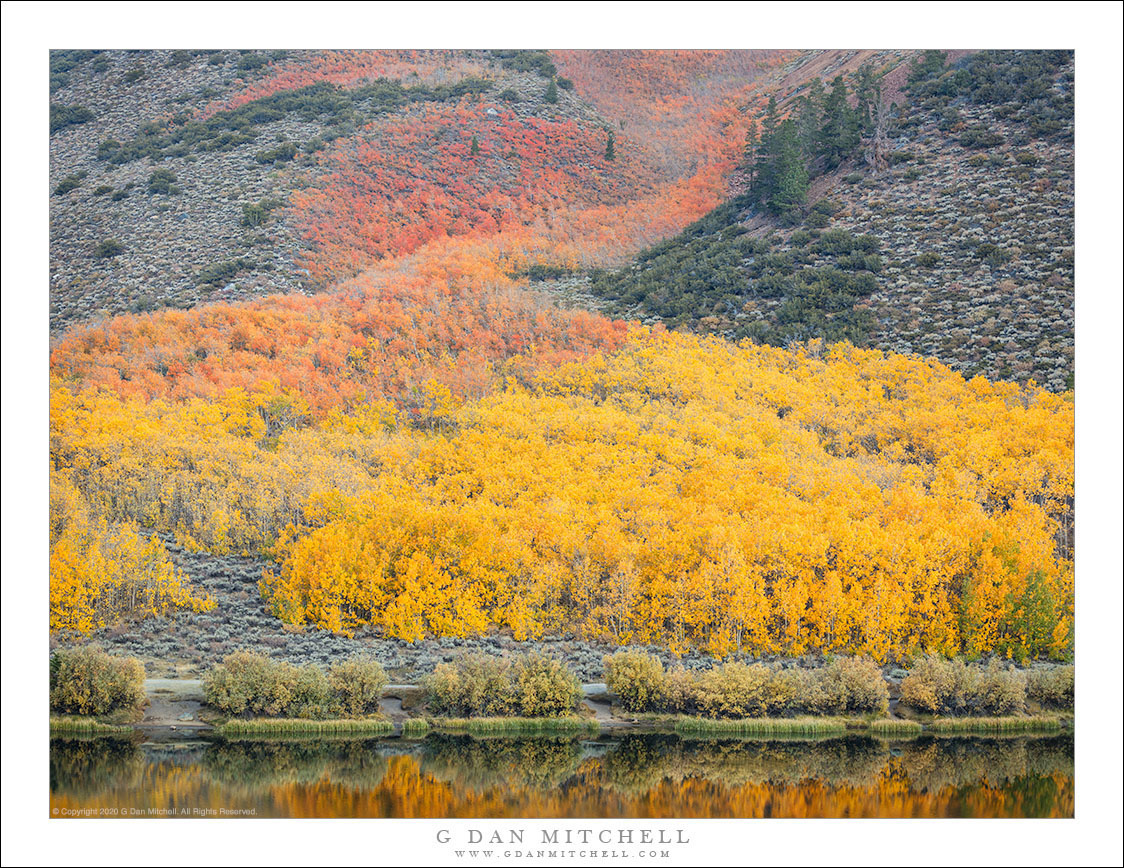 Yellow and Orange