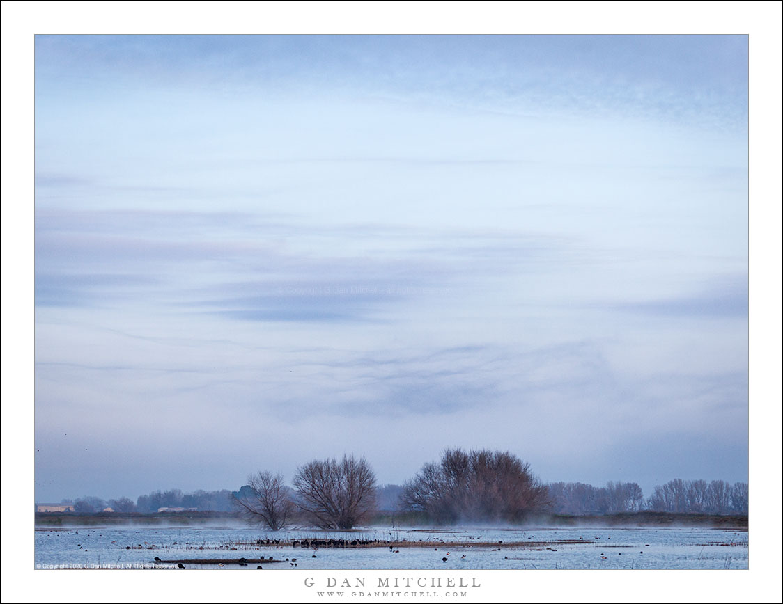 Central Valley Winter Sky