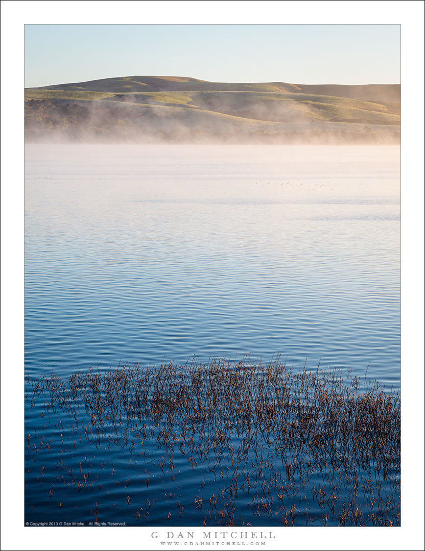 Winter Mist, Tomales Bay