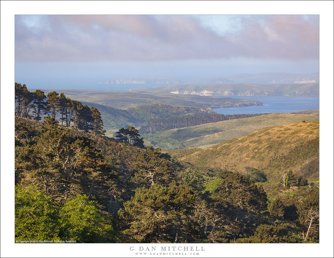 Point Reyes, Clearing Fog