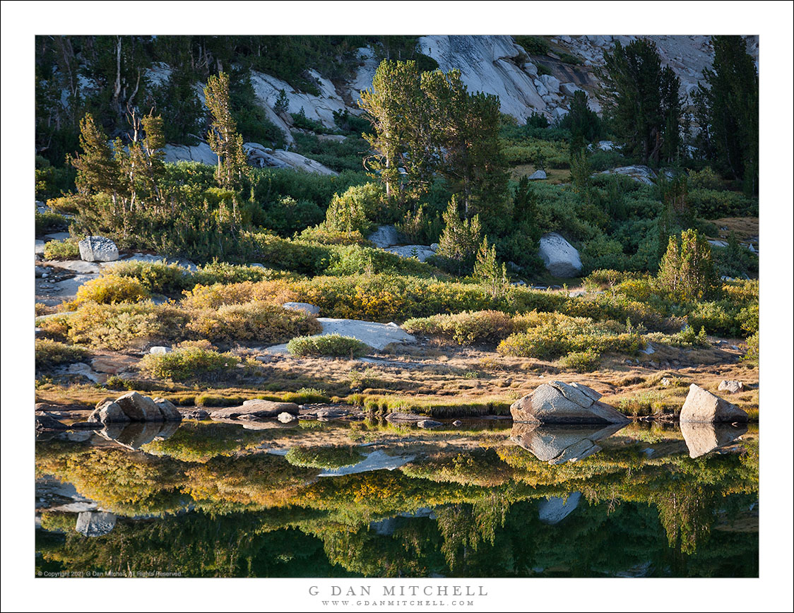 Alpine Lake Shoreline