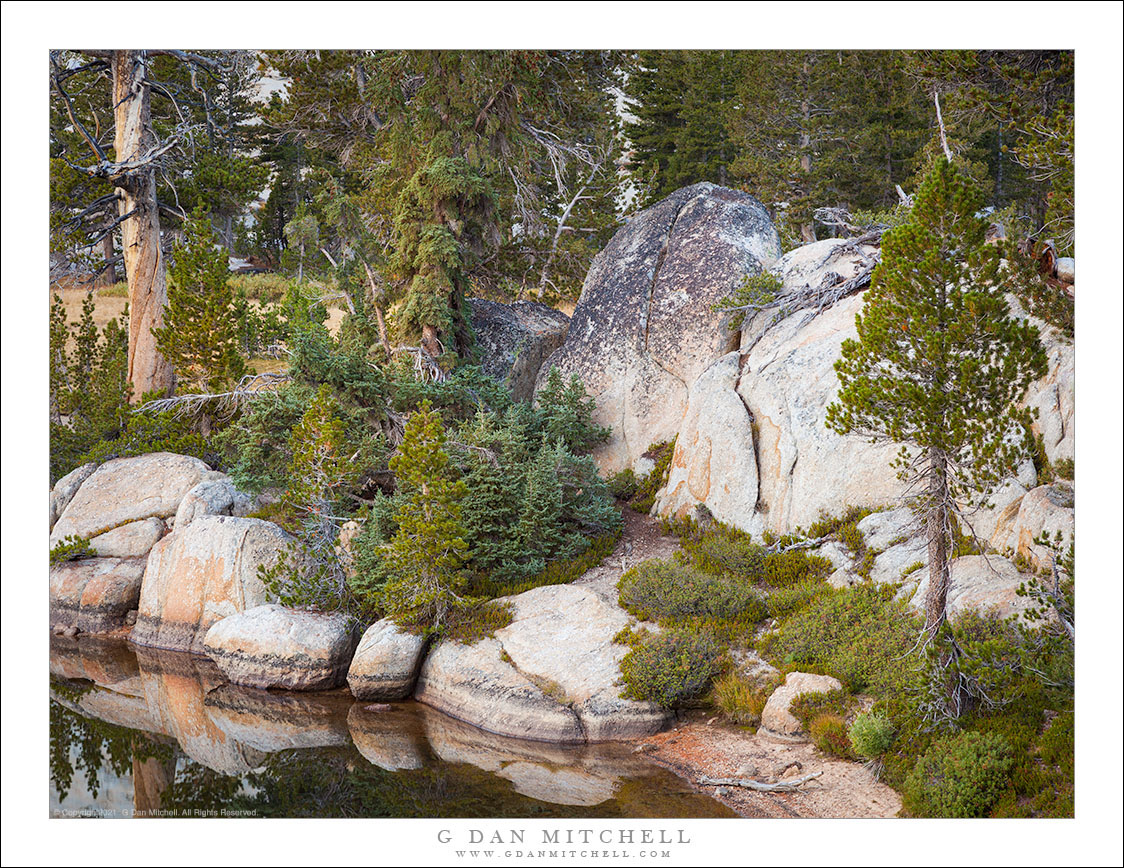 Trees, Boulders, Shoreline