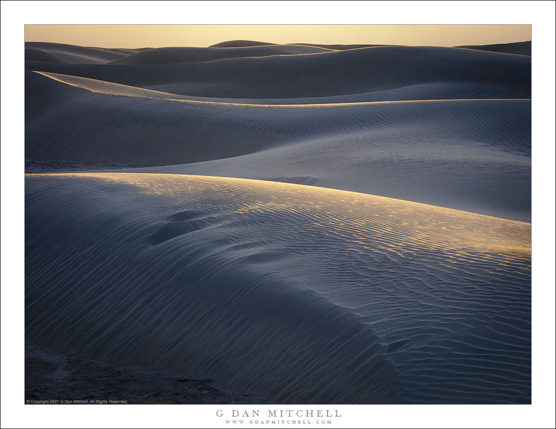 Dunes, Sunset Light