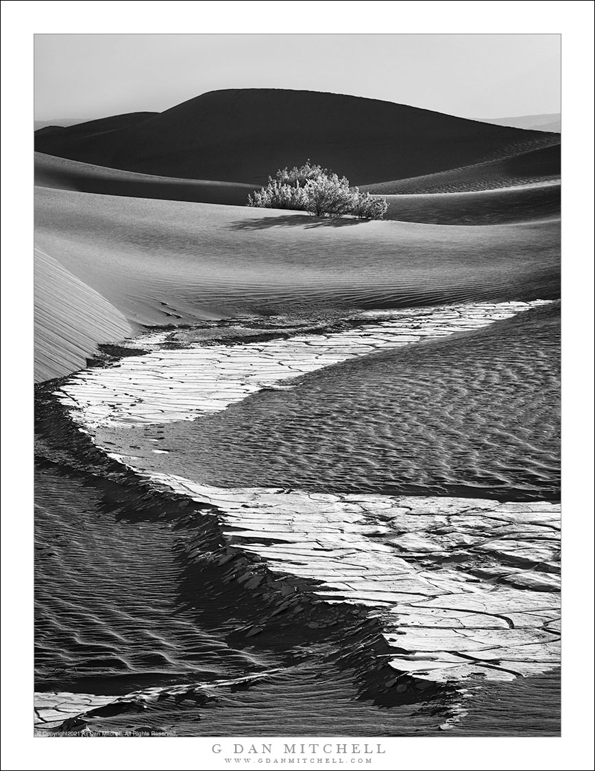 Alkali Flats and Dunes, Morning