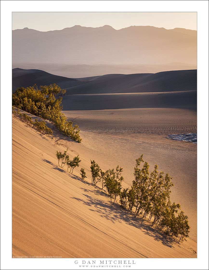 Morning Haze, Dunes and Mountains