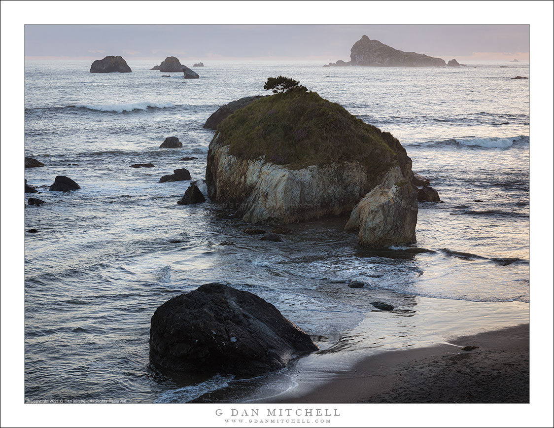 Evening Sea Stacks