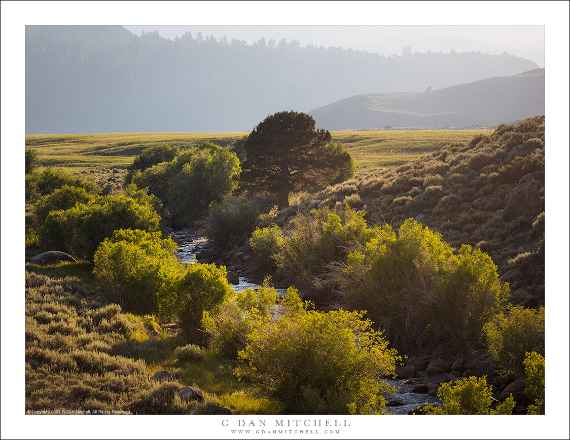 Eastern Sierra Stream, Smoky Light