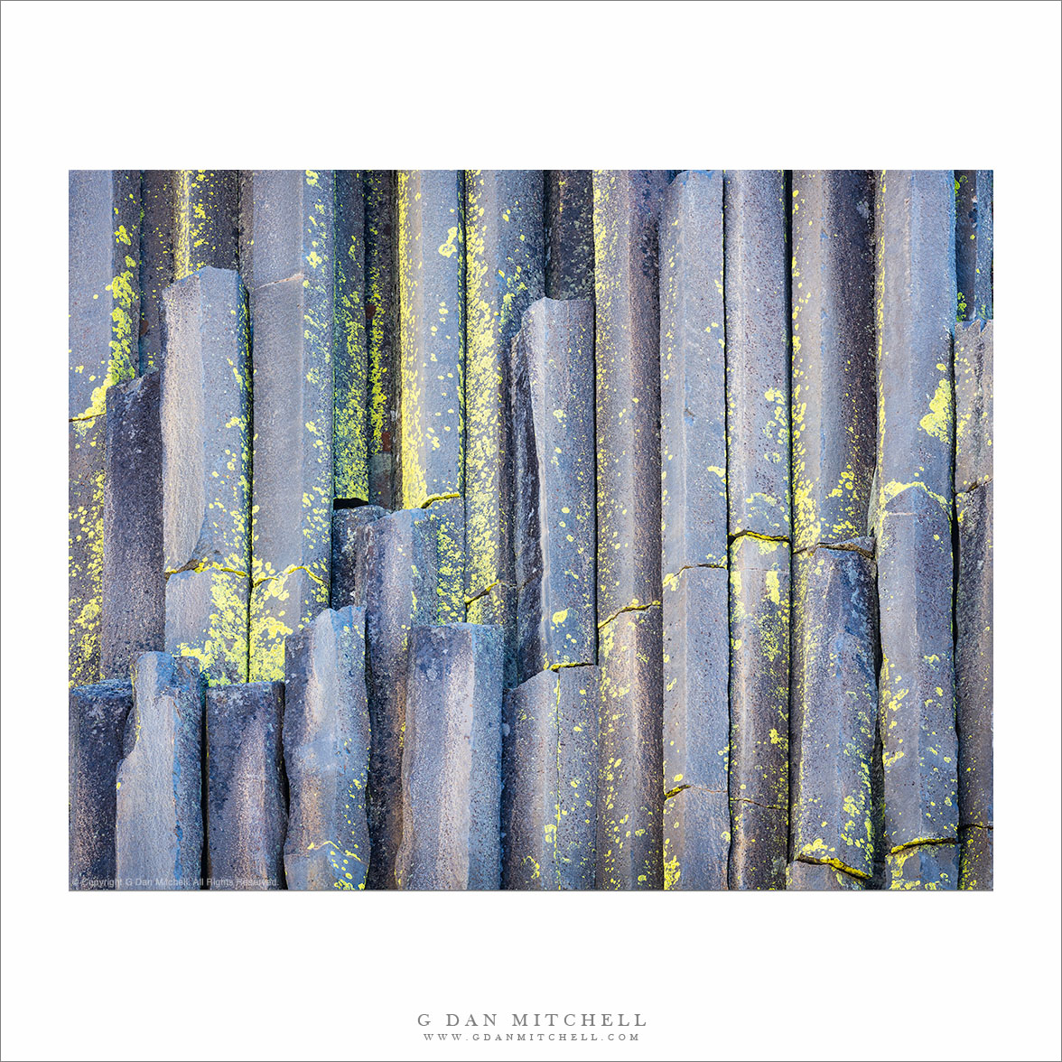 Basalt Columns and Lichen