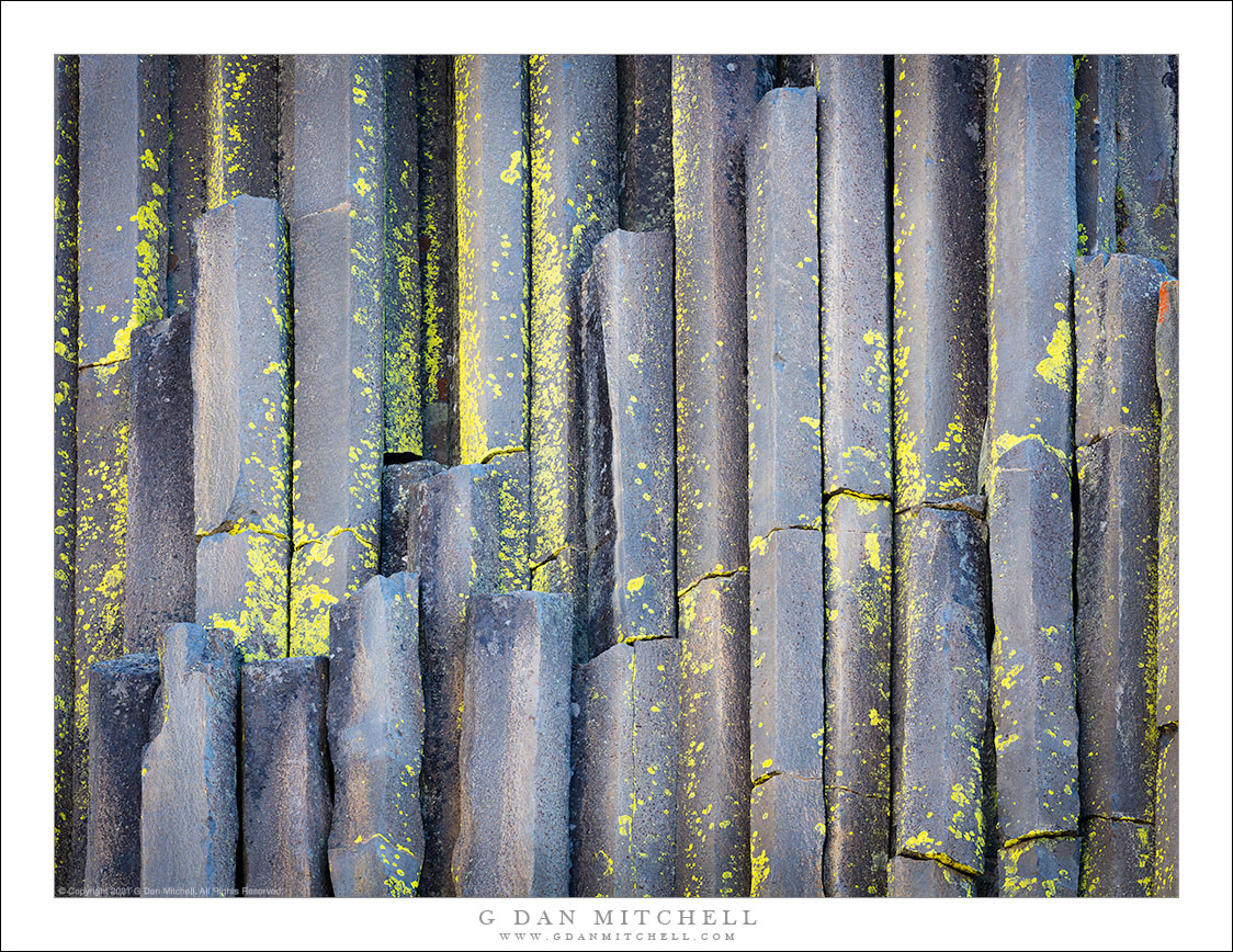 Basalt Columns and Lichen