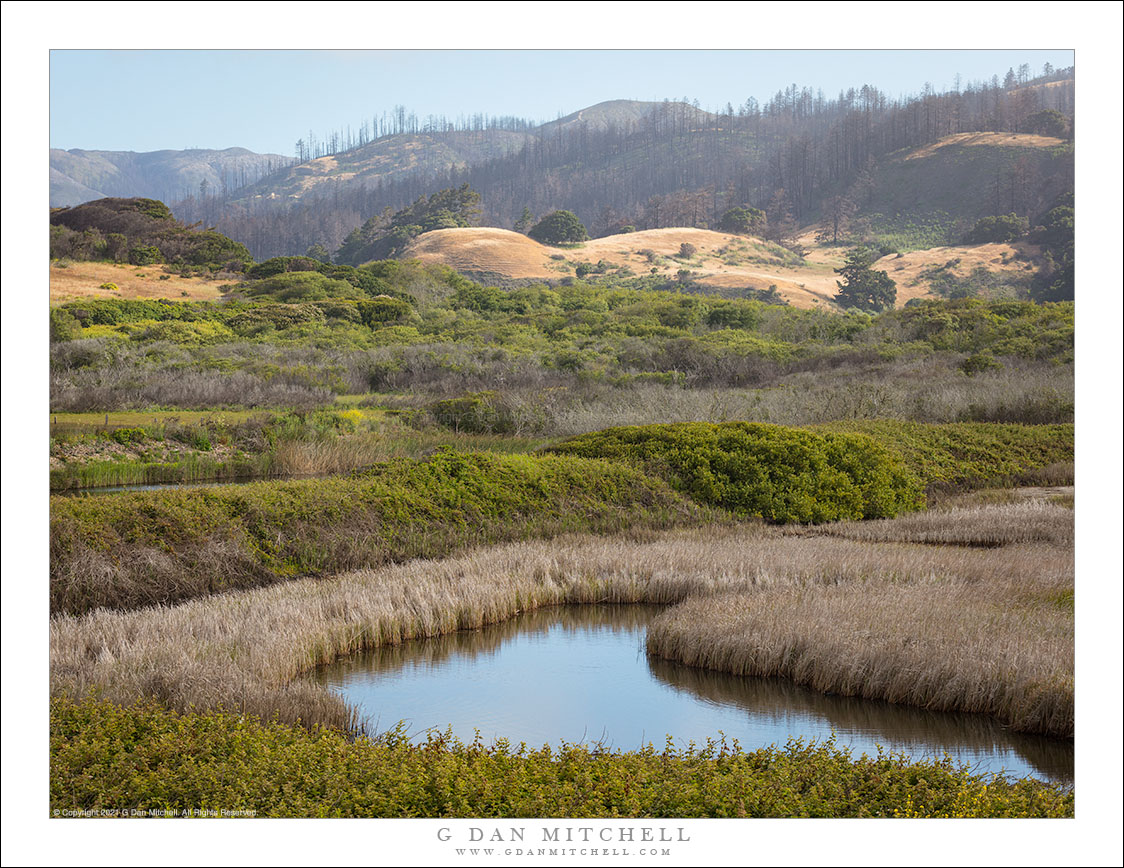 Coastal Lagoon, Burned Hills