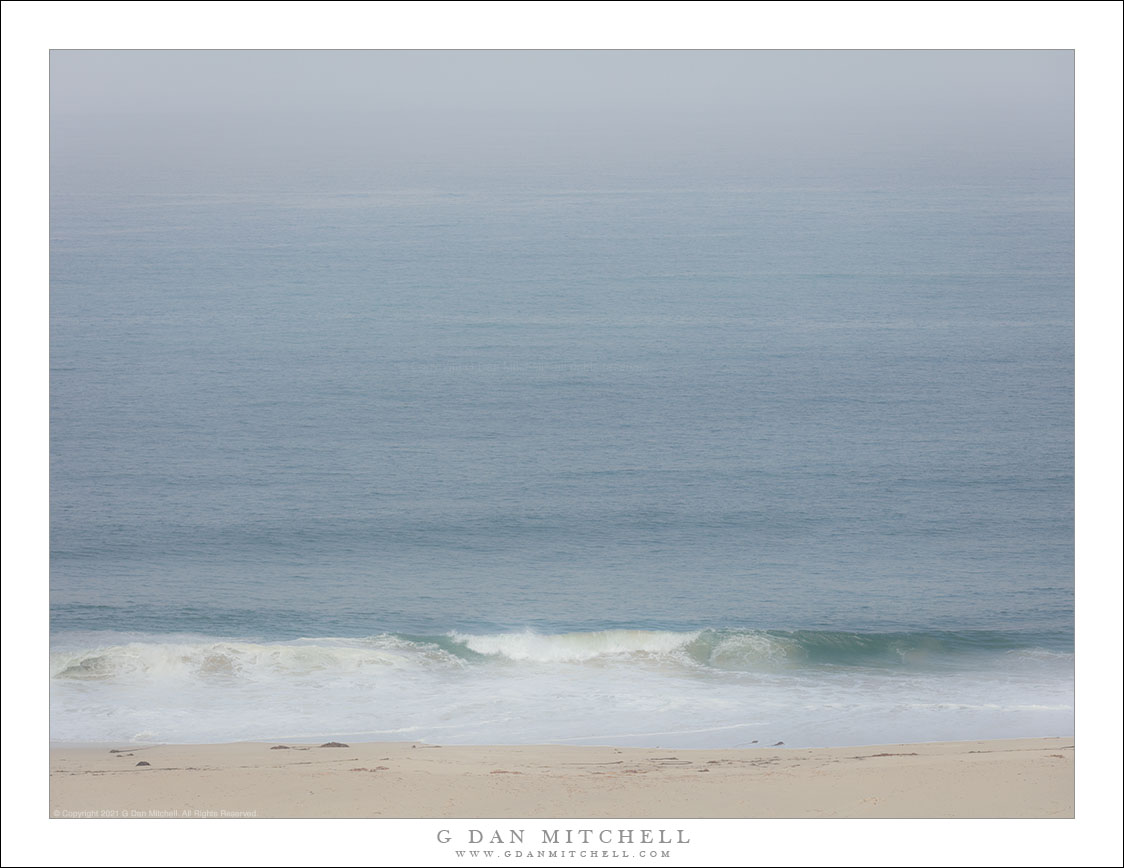 Surf, Sand, and Fog