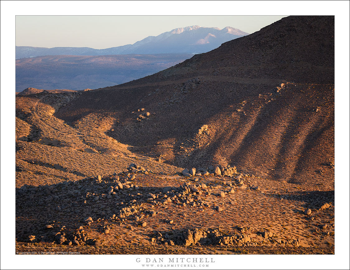 Sierra Foothills, White Mountains