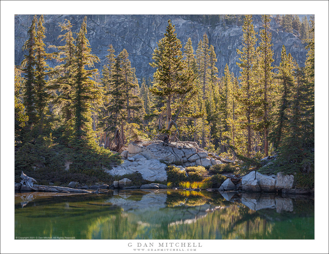 Forest and Shoreline Boulders