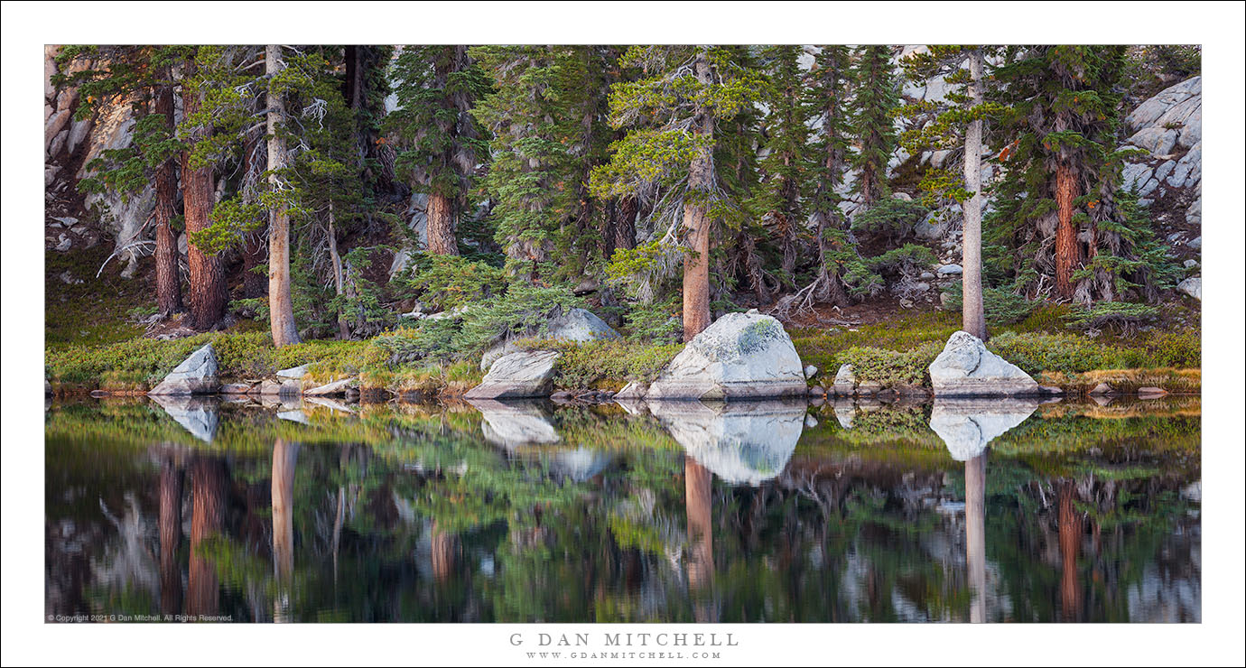 Sierra Shoreline, Morning