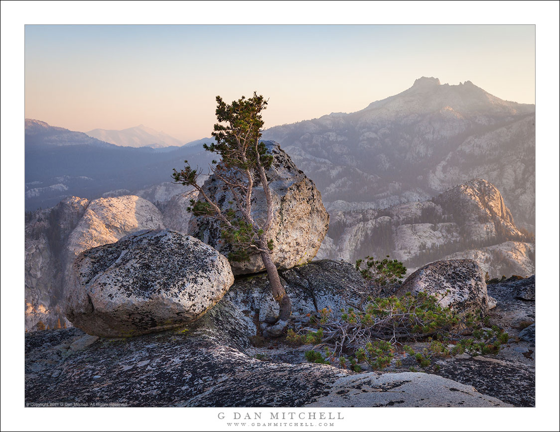 Summit Boulders and Tree, Sunset