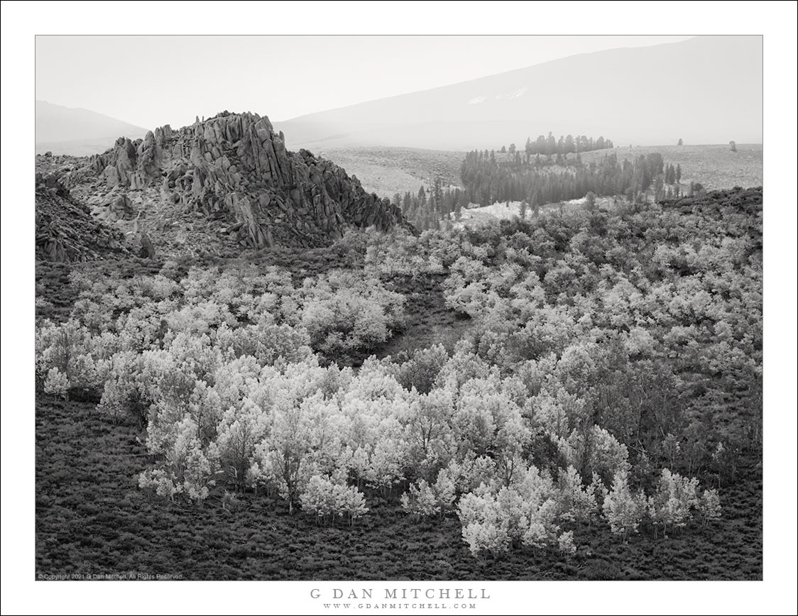 Autumn Aspens, Ridge and Haze