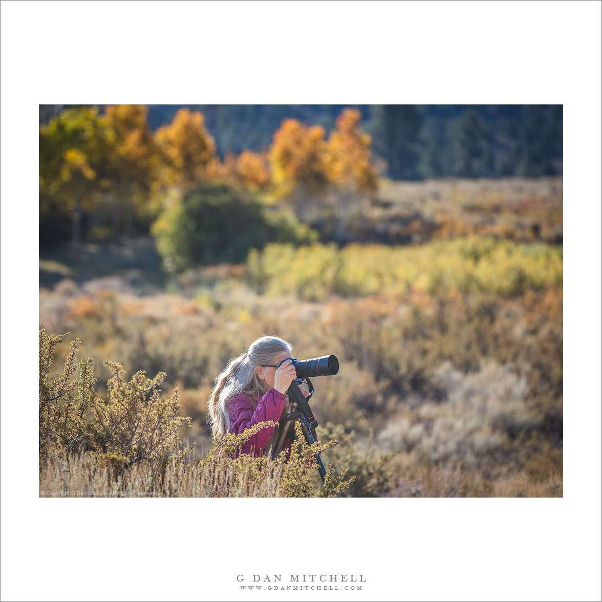 Photographer Patricia Mitchell