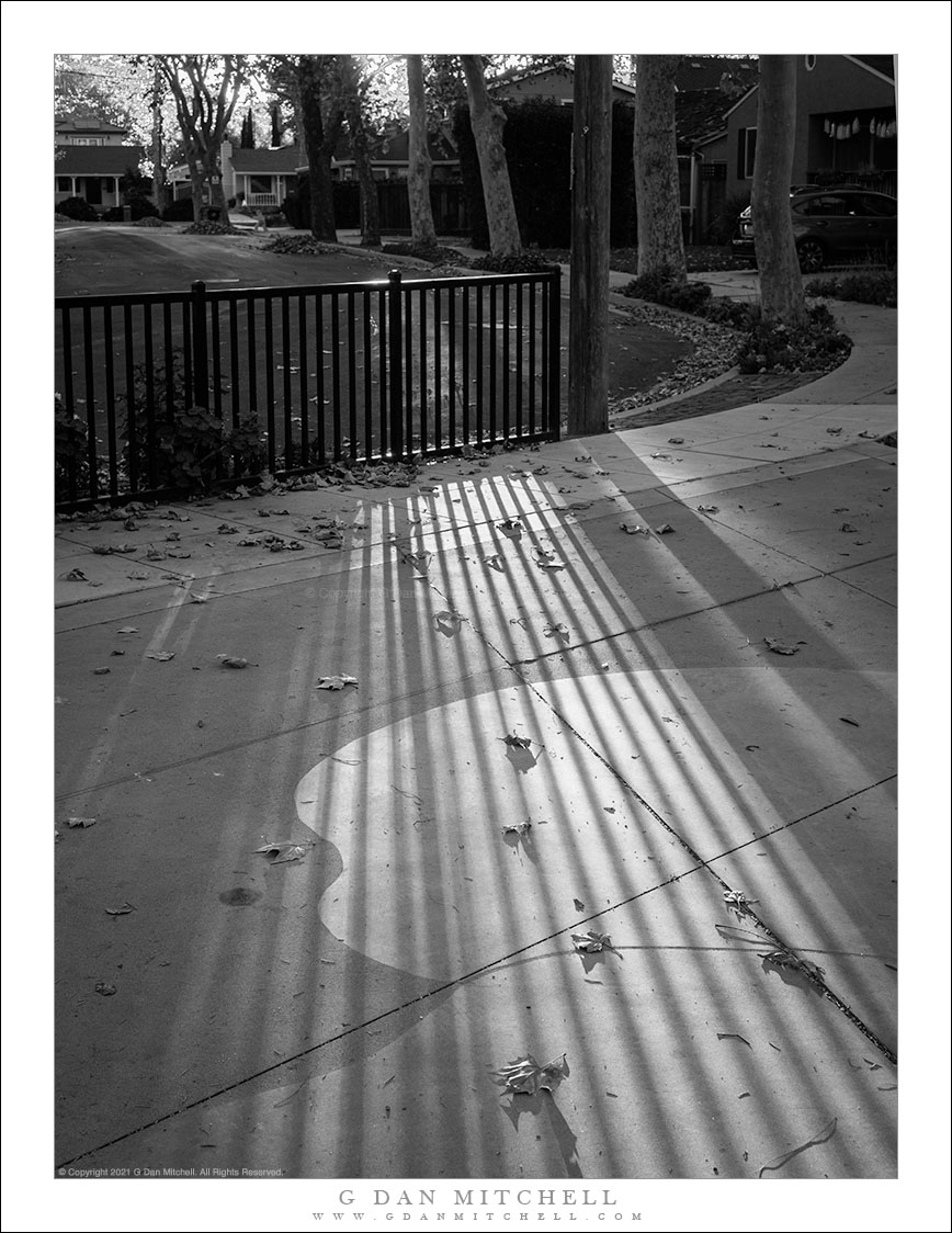 Sidewalk and Fence, Autumn Light