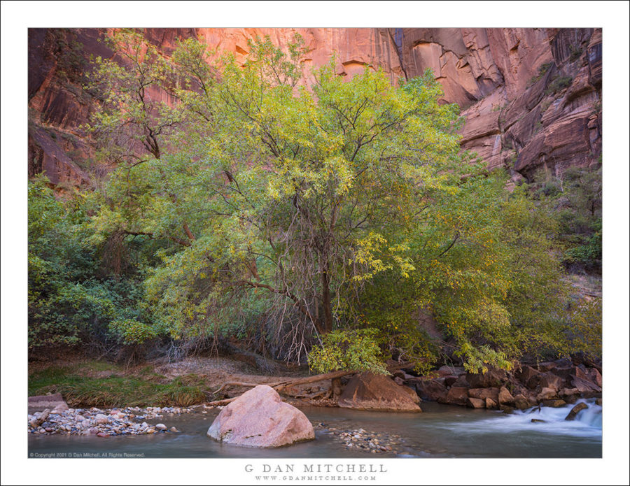 Streamside Rocks Streamside Trees, Red Rock Cliff | G Dan Mitchell Photography