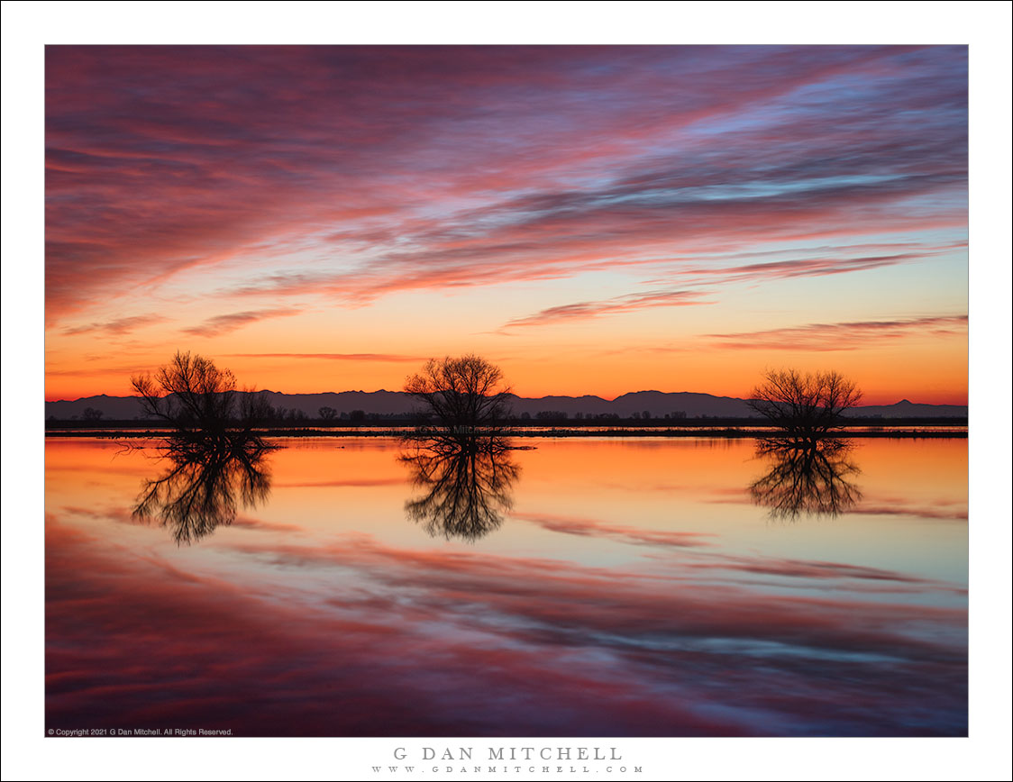 Three Trees, Sunset Clouds