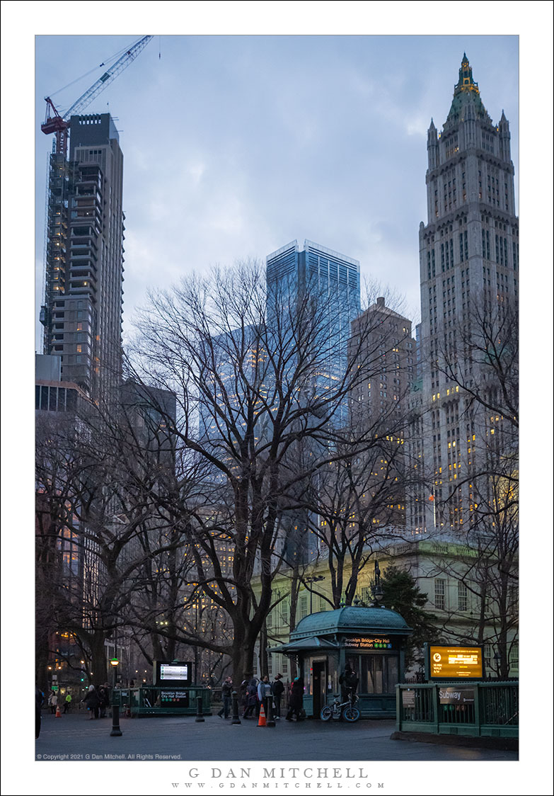 Trees at Twilight, Lower Manhattan