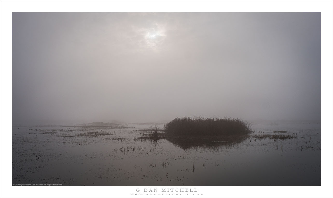 Fog and Morning Light