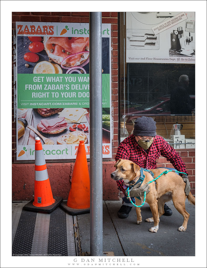 Masked Man With Dog