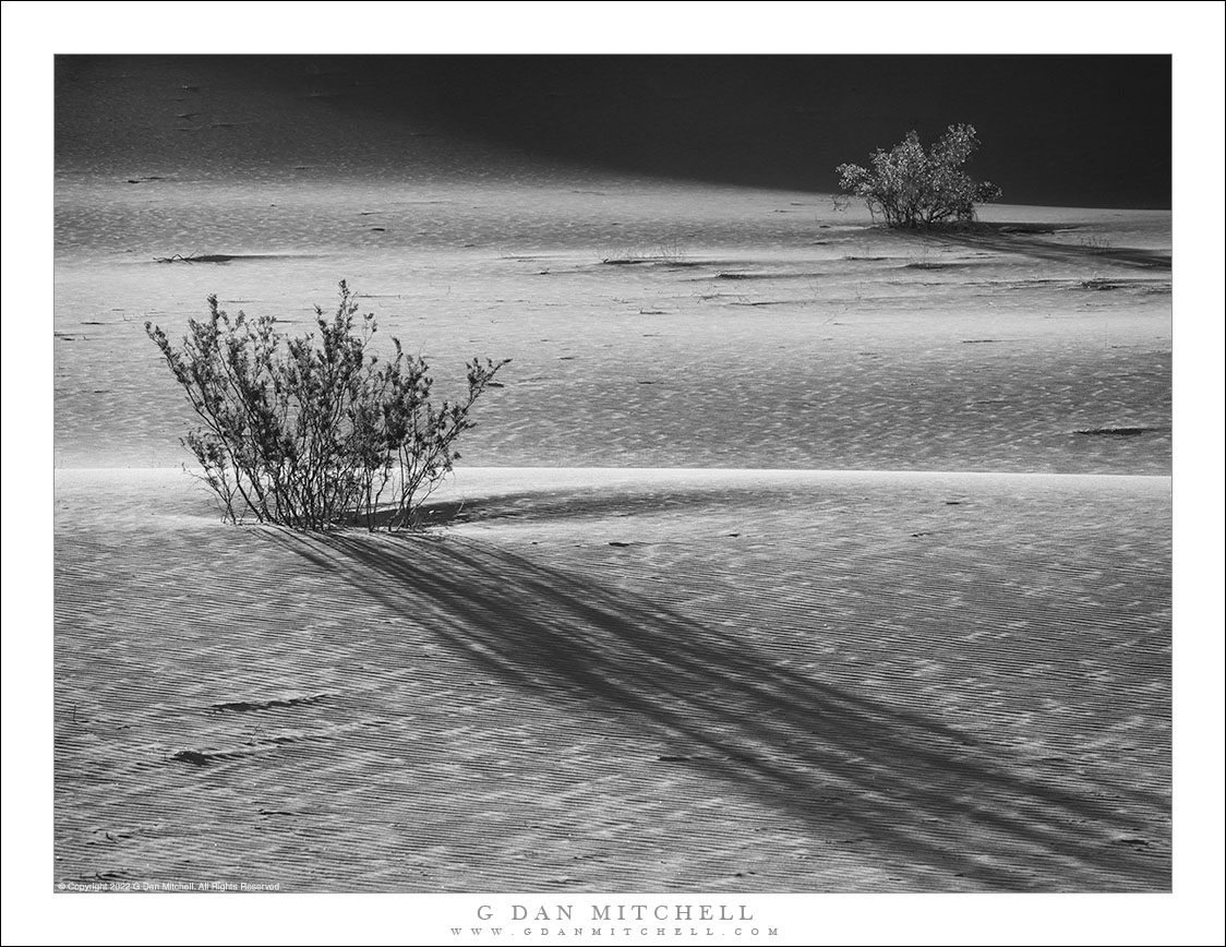 Sand Dune Shadows