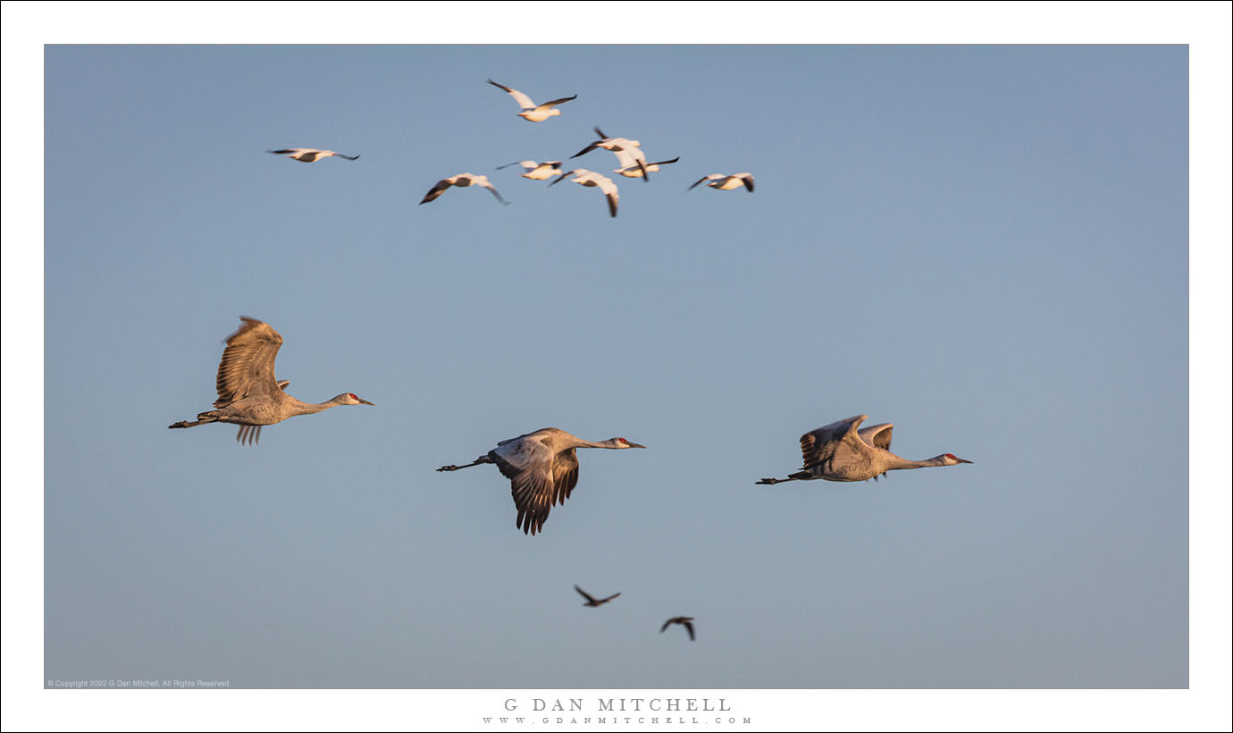 Sharing the Sky