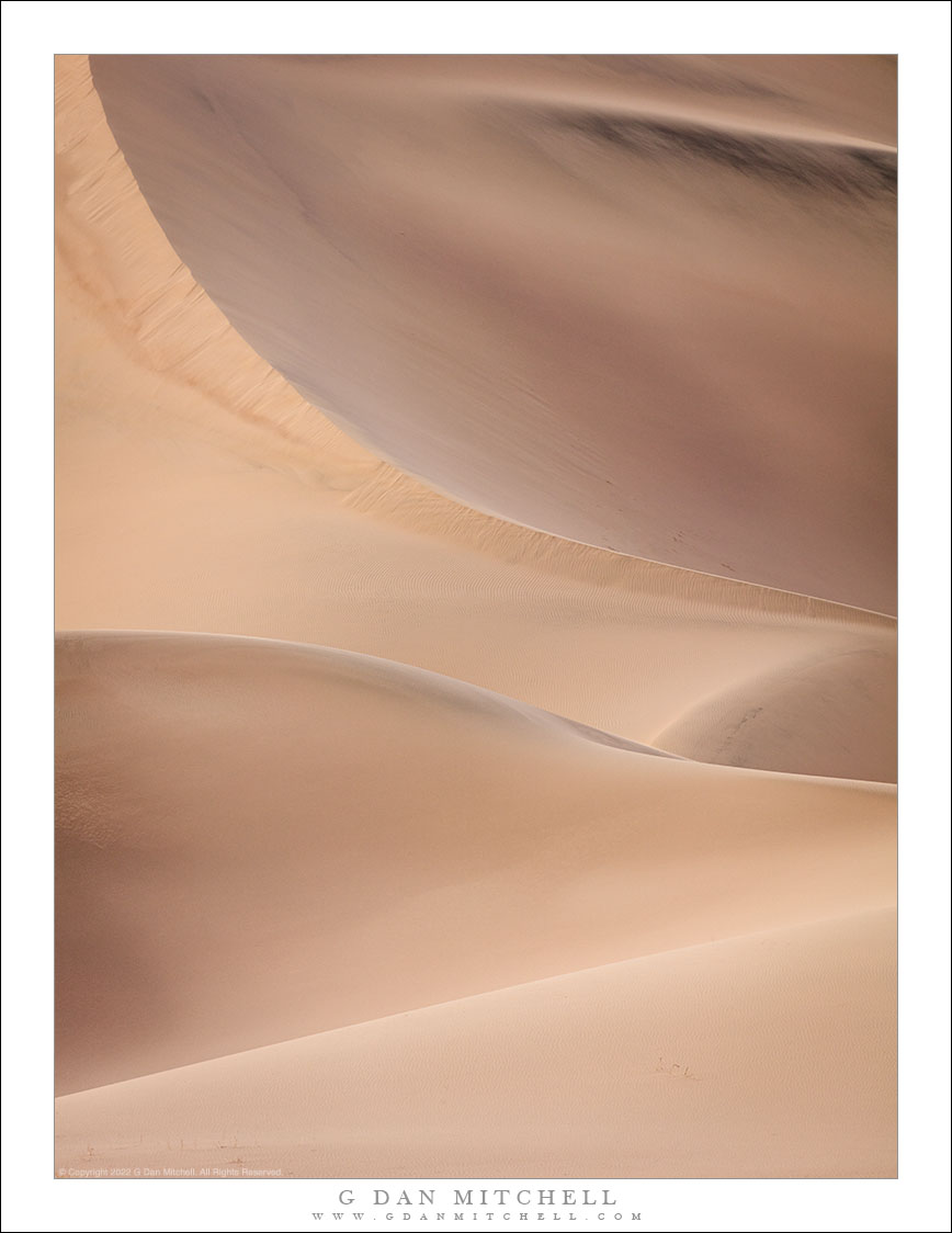 Dune Study, Evening