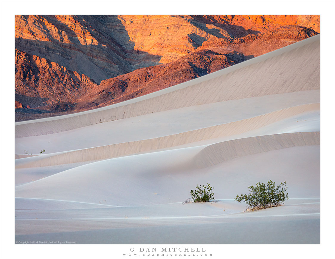 Evening Dunes