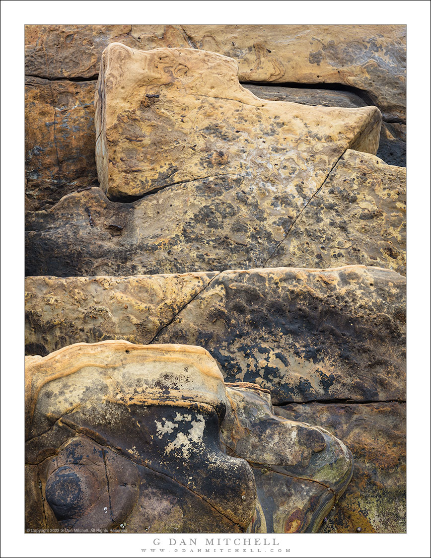 Rock Face, Pacific Coast Shoreline