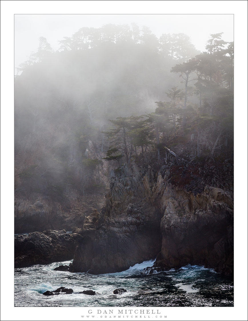 Trees and Cliffs, Morning Fog