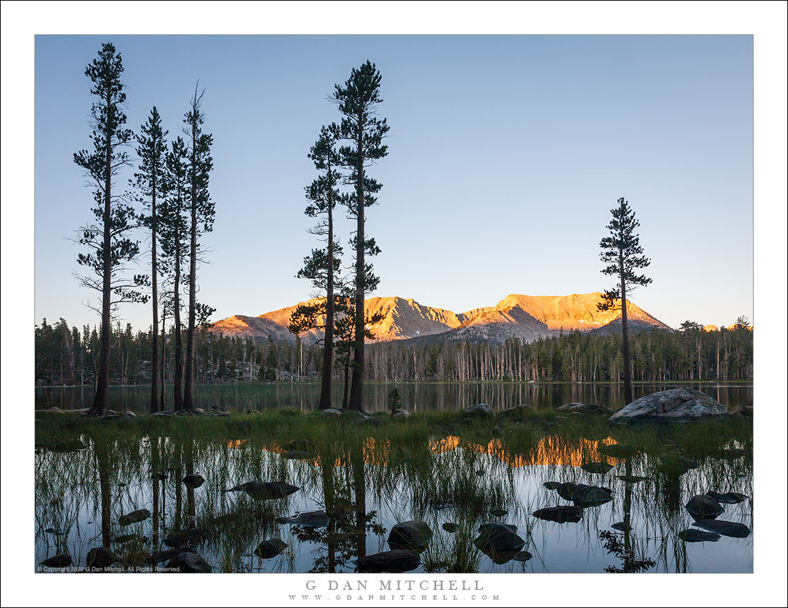 Lake, Trees, and Mountains at Dawn