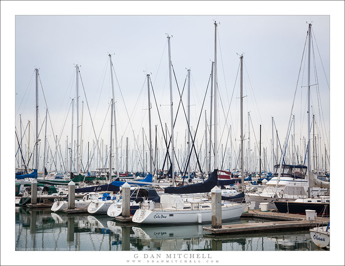 South Beach Harbor, Morning