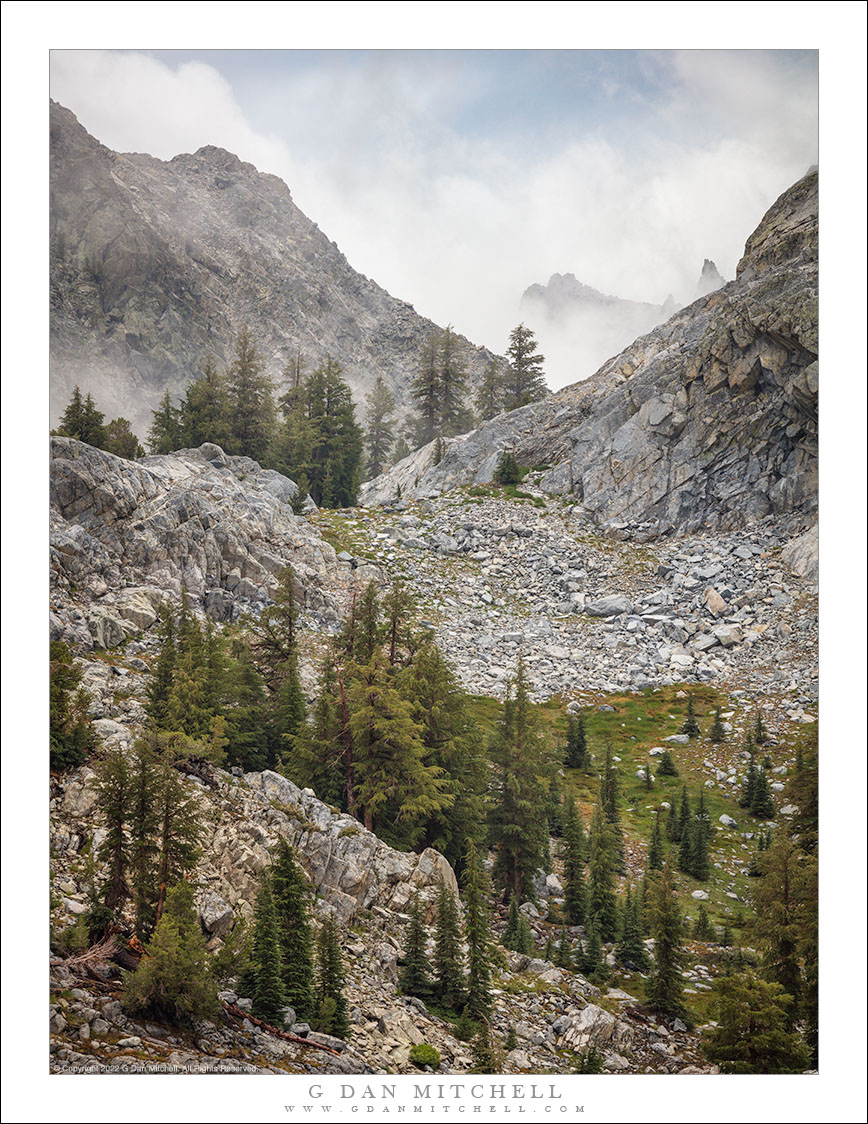 Trees, Ridges, and Clearing Storm