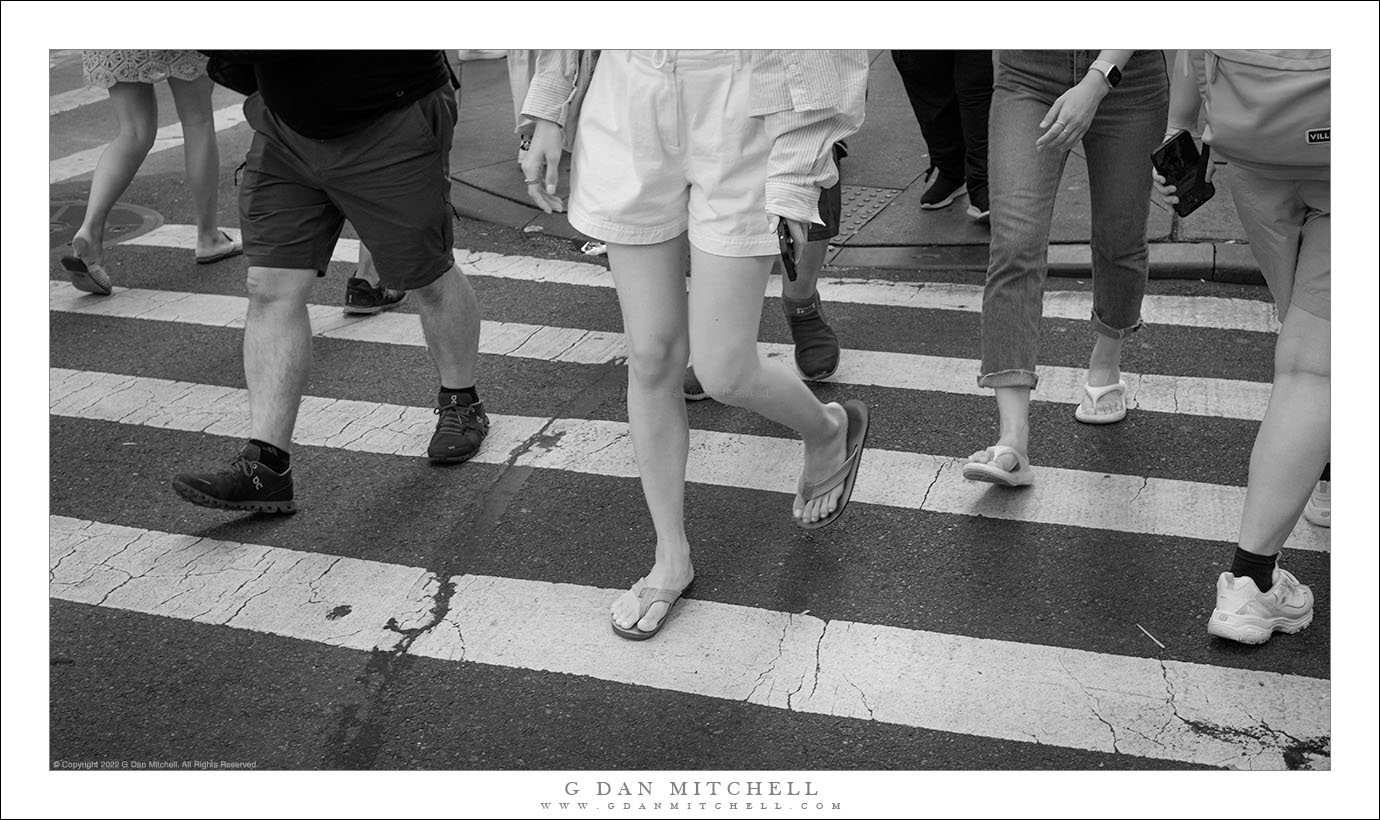 Crosswalk People