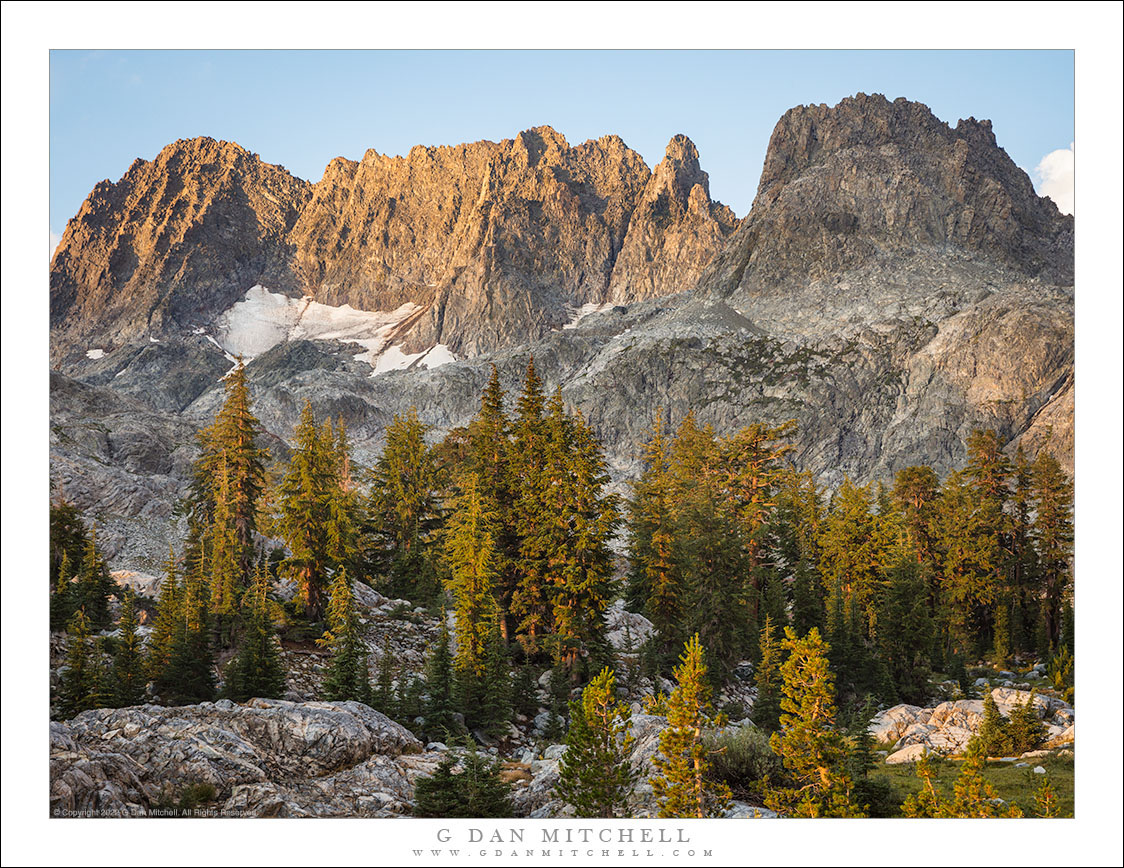 Forest and Peaks, Morning Light