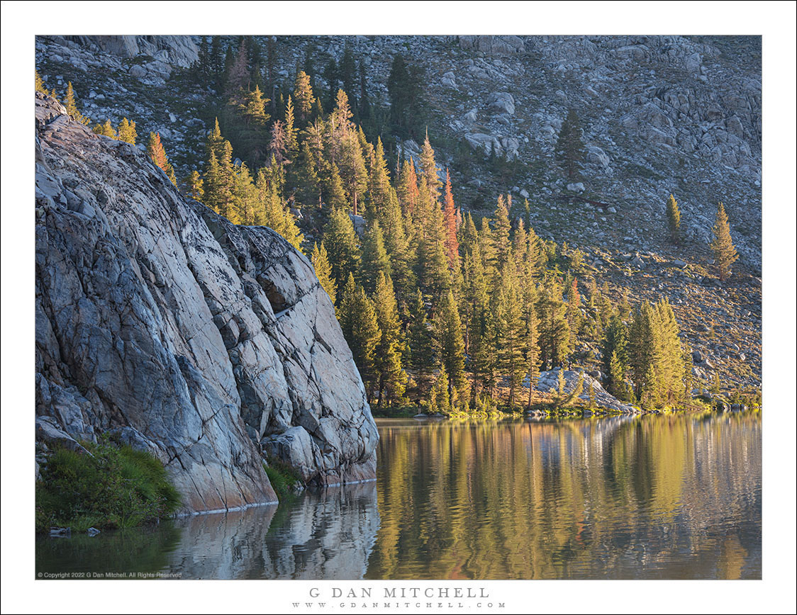 Morning Shoreline