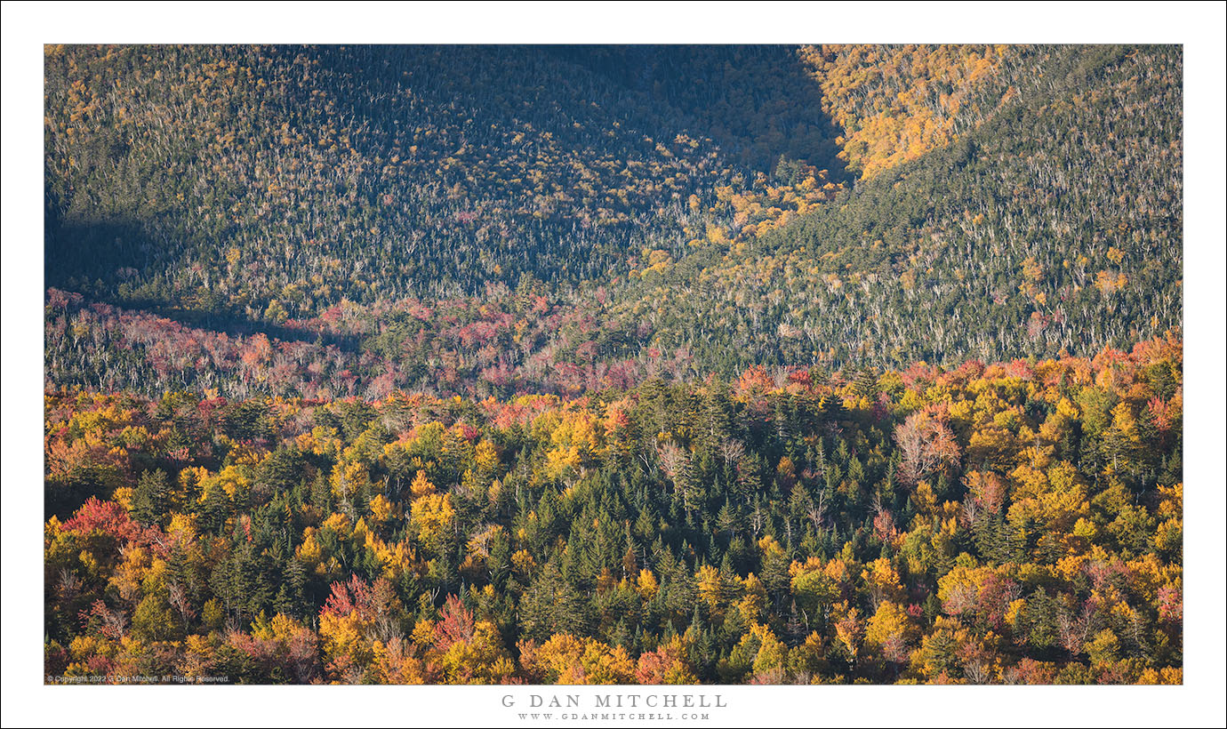 Autumn Morning, White Mountains