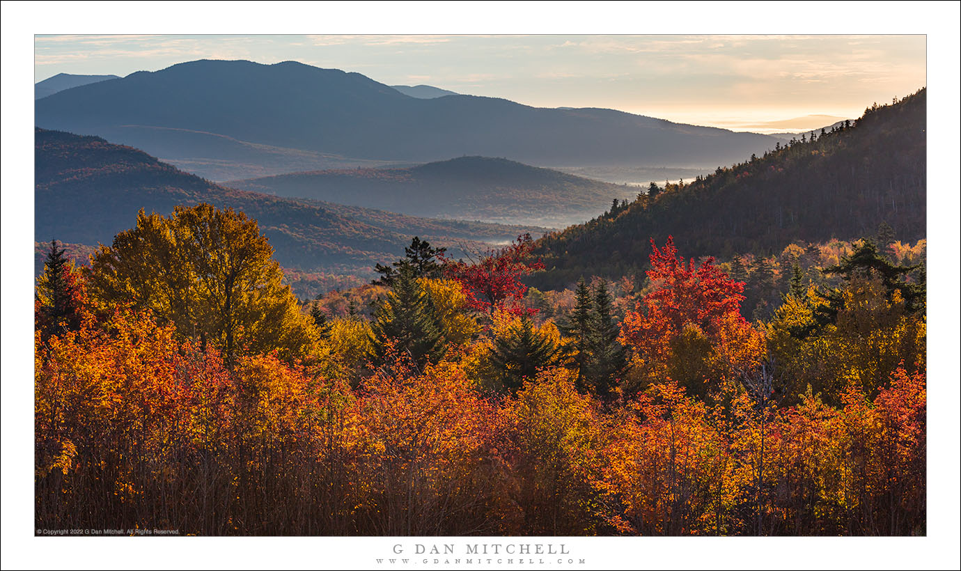 Autumn Trees, Mountains, and Valley Fog