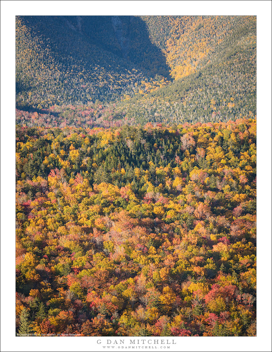 Autumn Morning, White Mountains #2