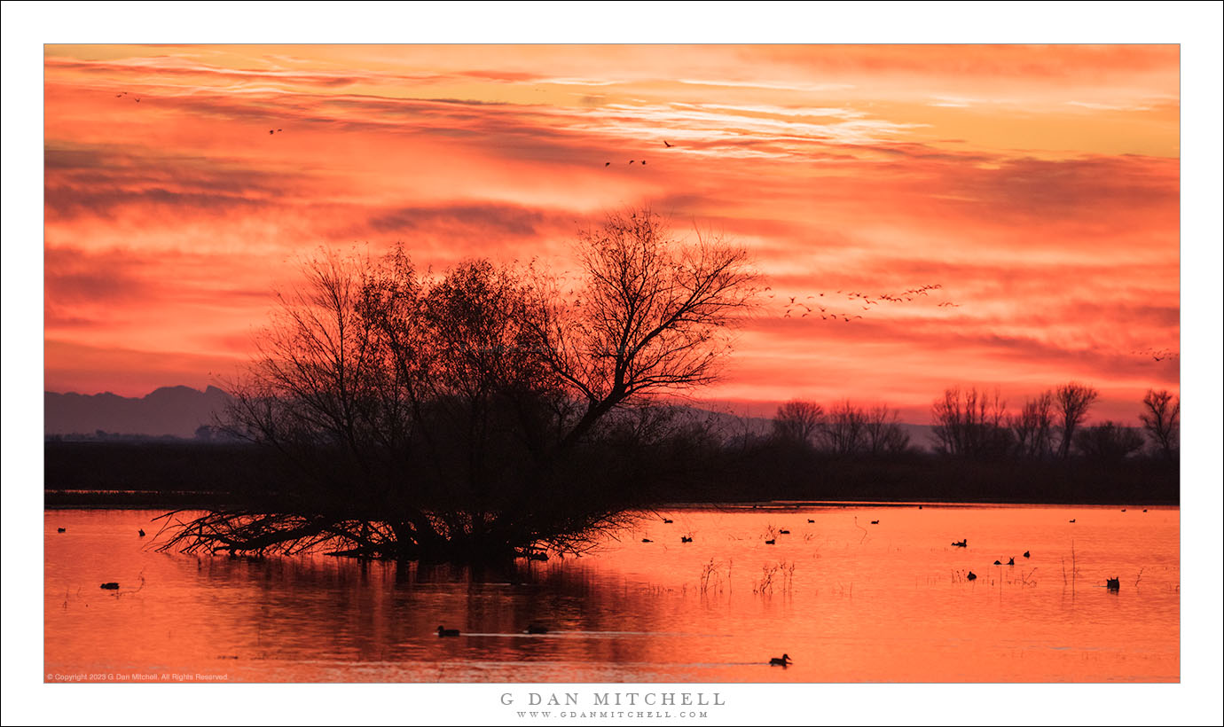 Before Sunrise, Central Valley G Dan Mitchell Photography