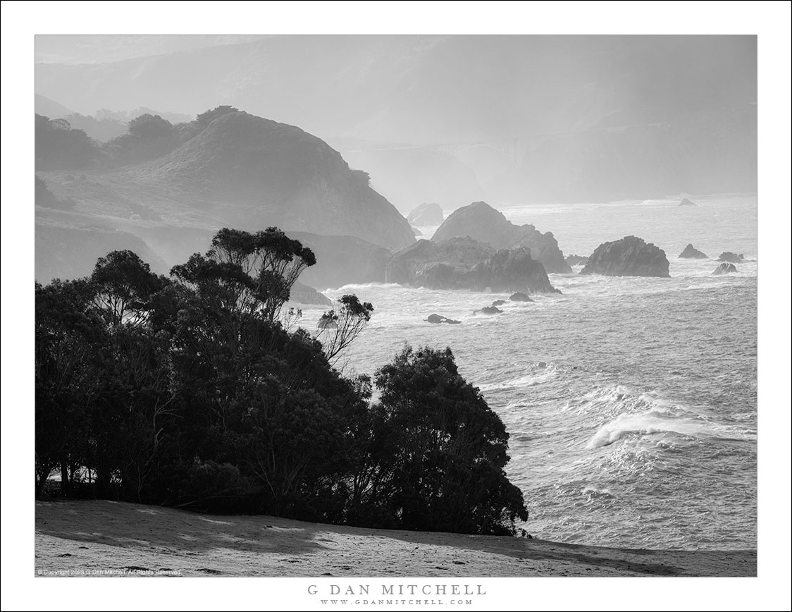 Grove Above the Surf