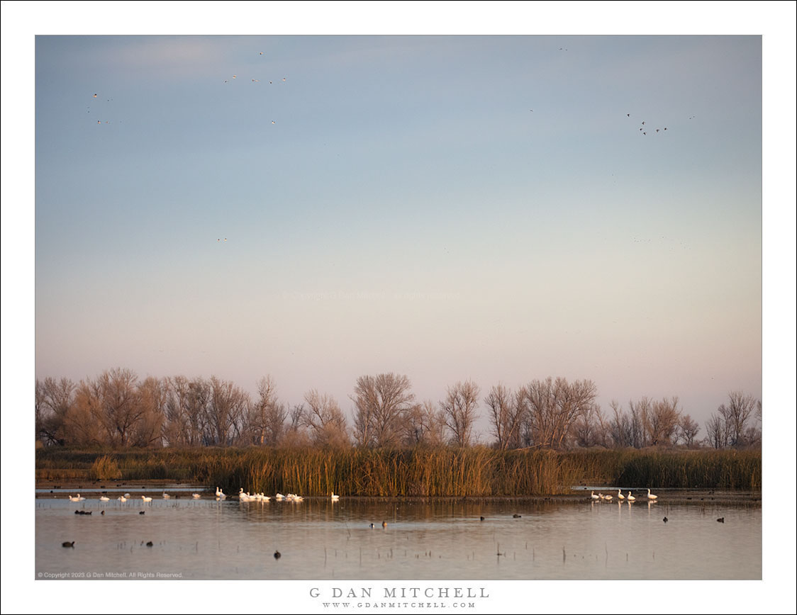 Marshland, Winter Sky