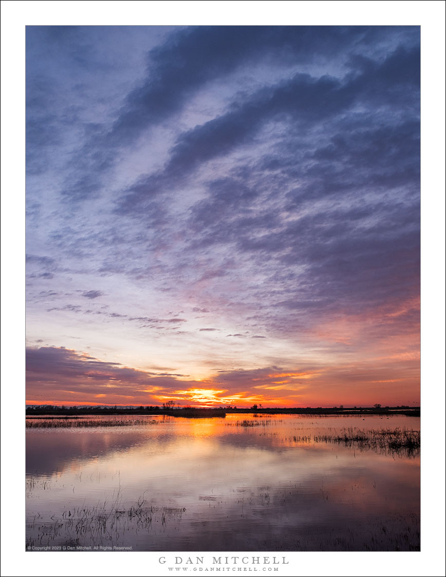 Wetlands Pond, Winter Sky